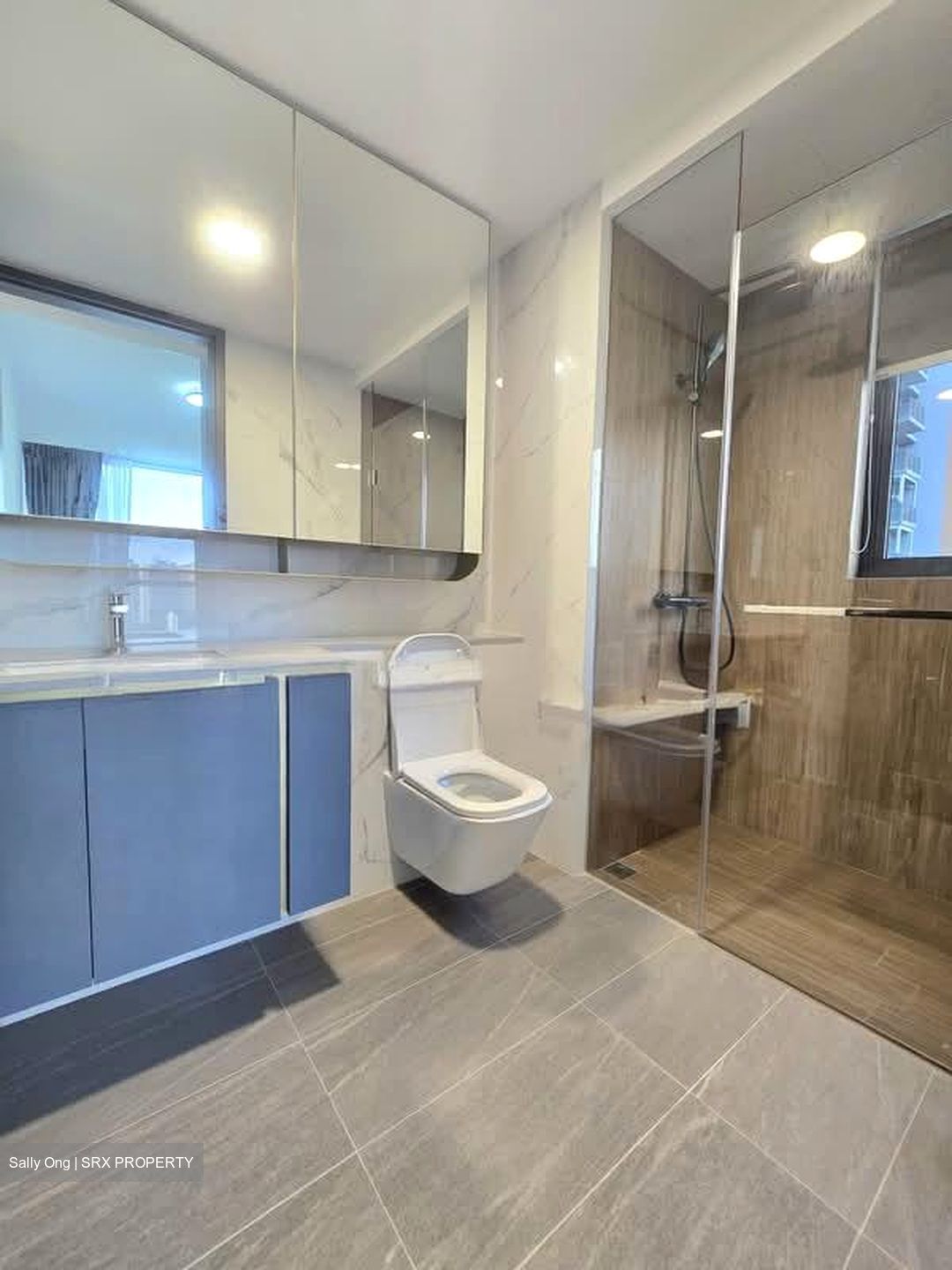 Amo Residence (D20), Apartment #565034711